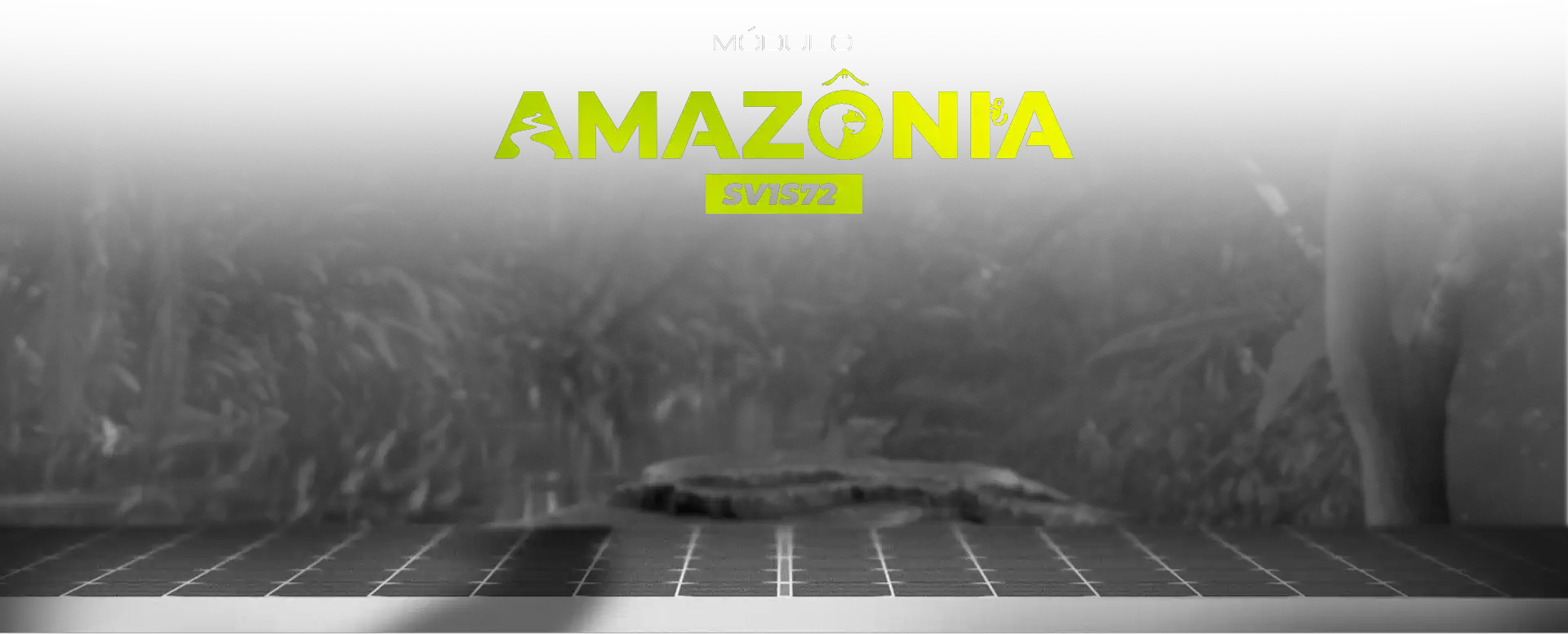 Módulo Amazônia SV1S72